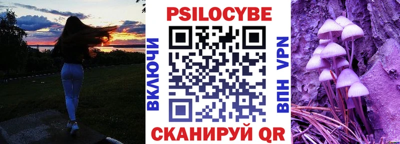 Псилоцибиновые грибы мицелий  Мостовской 